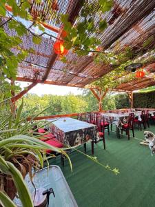 Zahrada ubytování Asiatisches Landhaus