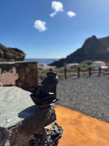 Gallery image of ELHierrObedTEL in Tamaduste