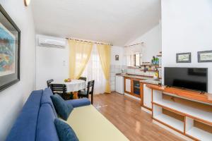 TV a/nebo společenská místnost v ubytování Apartment Brane