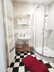 a bathroom with a sink and a shower and a red rug at Appartement direkt am Fluss Nähe Zentrum in Coburg +53 photos