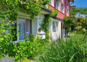 a cat sitting on a window sill of a house at Pilgerwohnung in Wald +19 photos