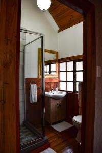 a bathroom with a shower and a sink and a toilet at Hobbit Boutique Hotel in Bloemfontein
