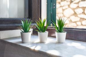 Φωτογραφία από το άλμπουμ του Acquariese - Casa Margot e Casa Giotto σε Portoferraio