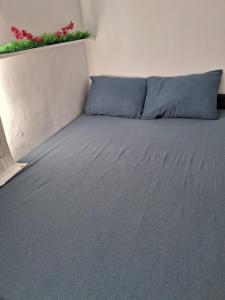 ein Bett mit einem blauen Kissen und einer Pflanze an der Wand in der Unterkunft Pousada da Mari in São Gabriel