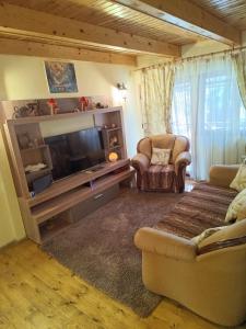 ein Wohnzimmer mit Couch und Flachbildfernseher in der Unterkunft Cabana FARIO Rau Mare - Retezat in Clopotiva