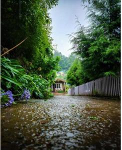 a wet street with a house and a fence at The Groot in Ooty