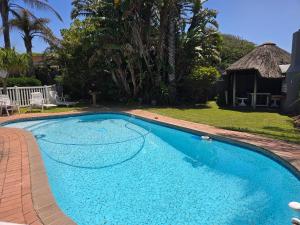 une piscine avec de l'eau bleue dans une cour dans l'établissement Bayside Guesthouse, à Port Elizabeth