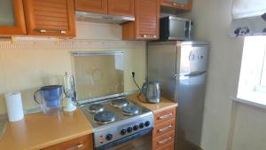 eine Küche mit Herd und Kühlschrank in der Unterkunft 2-х комнатная квартира в центре in Qaraghandy + 17 Fotos