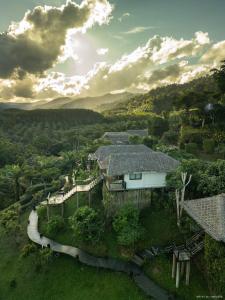 Příroda nedaleko hotelu