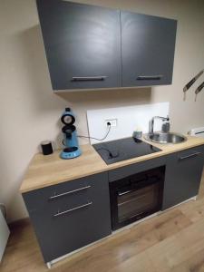 a kitchen with a sink and a counter top at Le domaine de Fillette in Einvaux