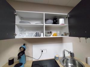 a kitchen with white cabinets and a sink at Le domaine de Fillette in Einvaux