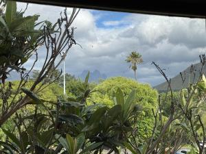 a window view of a jungle with trees and mountains at De Eike in Stellenbosch