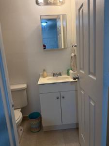 een badkamer met een wastafel, een toilet en een spiegel bij My Garden in Miami Florida in Palmetto Bay +9 foto's