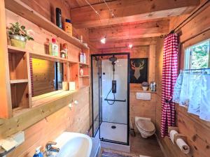 une salle de bain avec douche et lavabo dans l'établissement Holiday Home Zirbenwaldhütt'n by Interhome, à Brandstätter