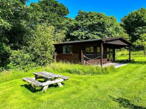 a picnic table in the grass in front of a cabin at Wild Meadow Camping in Llandysul