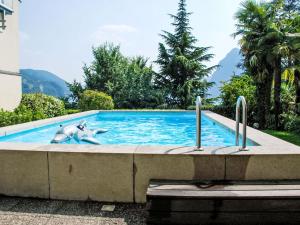 een zwembad met twee dolfijnen in het water bij Studio Vista Lago by Interhome in Ruvigliana