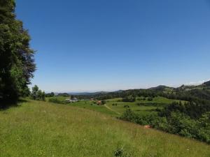 a grassy hill with a view of a green field at Haus Am Sternsberg in Sternenberg