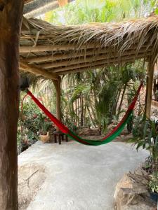 a hammock under a thatched roof in a garden at Casa Kata in Zipolite