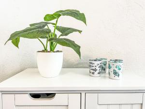 a plant in a white vase on a white cabinet at Apartment Therese by Interhome in Mirow