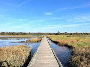 a wooden bridge over a river with a person walking on it at Holiday Home Antonina - 775m from the sea by Interhome in Gudmindrup
