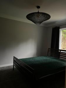 ein Schlafzimmer mit einem Bett und einem Kronleuchter in der Unterkunft Peace, Pines & Pure Air in Vangaži