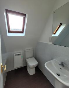 a bathroom with a toilet and a sink and a window at Highland Glen Lodges in Rogart