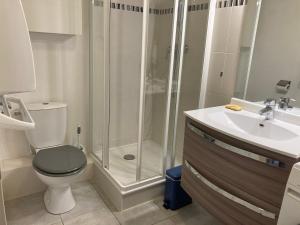 a bathroom with a shower and a toilet and a sink at Appartement Le Central in Labergement-Sainte-Marie +9 photos