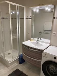a bathroom with a shower and a sink and a washing machine at Appartement Le Central in Labergement-Sainte-Marie
