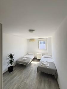 une chambre avec deux lits et une plante en pot dans l'établissement Apartamento Forum, à Barcelone