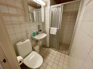 a bathroom with a toilet and a sink and a shower at Kotimaailma Villa Hortus - Cosy Studio for 2 in Turku +4 photos