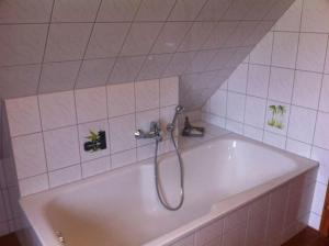 a bath tub with a shower in a bathroom at Ferienwohnung Gans In Ummanz Lüßvitz in Ummanz