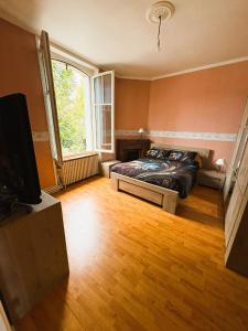 ein Schlafzimmer mit einem Bett und einem Fernseher darin in der Unterkunft Jolie maison 6 pers spa privé wifi 14 km Beauval in Meusnes