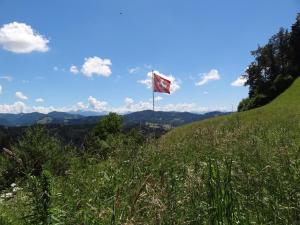 a flag flying on top of a green hill at Haus Am Sternsberg in Sternenberg