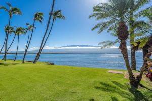 Imagem da galeria de Lauloa 105 · LOA 105 2BD OceanFront Getaway w AC Pool em Wailuku mais 42 fotografias