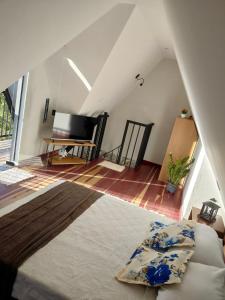 TV a/nebo společenská místnost v ubytování Chale Doce Refugio