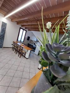 Posezení v ubytování Il Vagabondo