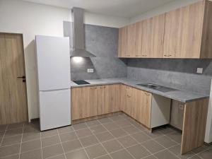 Η κουζίνα ή μικρή κουζίνα στο Ubytovňa Levice