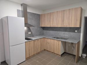 Η κουζίνα ή μικρή κουζίνα στο Ubytovňa Levice