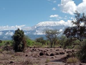 Příroda nedaleko kempu