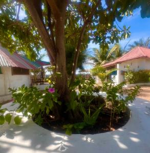 Κήπος έξω από το Doman Doman Eco Lodge