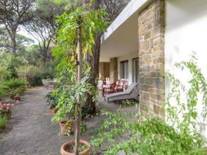 un patio avec des plantes en pots et un bâtiment dans l'établissement Holiday Home Engel by Interhome, à Casa Mora 26 autres photos