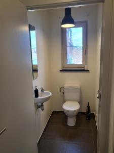 une salle de bain avec toilettes, lavabo et fenêtre dans l'établissement Ruim appartement met terras, à Gand 5 autres photos