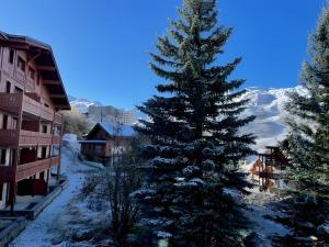 un pin enneigé devant des bâtiments dans l'établissement Appartement Les Airelles, à Levassaix