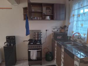 Una pequeña cocina con estufa y fregadero. en Flomark, en Nairobi