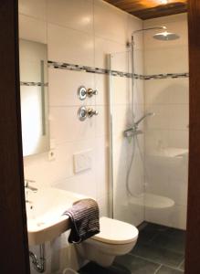 Haus Florian Sprenzel في Schmölz: حمام مع دش ومرحاض ومغسلة