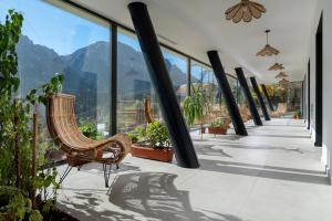 eine Lobby mit einem Stuhl und Pflanzen in einem Gebäude in der Unterkunft Pensiunea Leonida - RESORT LEONIDA in Poiana Ţapului