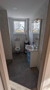 a bathroom with a toilet and a sink and a mirror at Ruhiges Dachgeschoss-Apartment im Südosten von Dresden in Dresden +4 photos