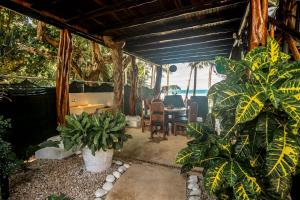 Zahrada ubytování Treehouse Inn on the Beach + 6 fotografií