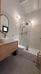 een badkamer met een wastafel, een toilet en een douche bij Serena Terrace in Cabeceiras de Basto