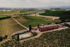 eine Luftansicht eines Gebäudes auf einem Weinberg in der Unterkunft Agriturismo Terra Rossa in Valiano